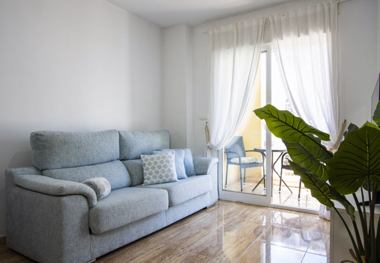 Apartment in Torrevieja - ID183