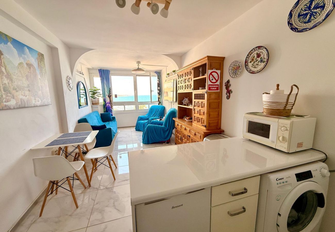 Apartment in Torrevieja - ID162