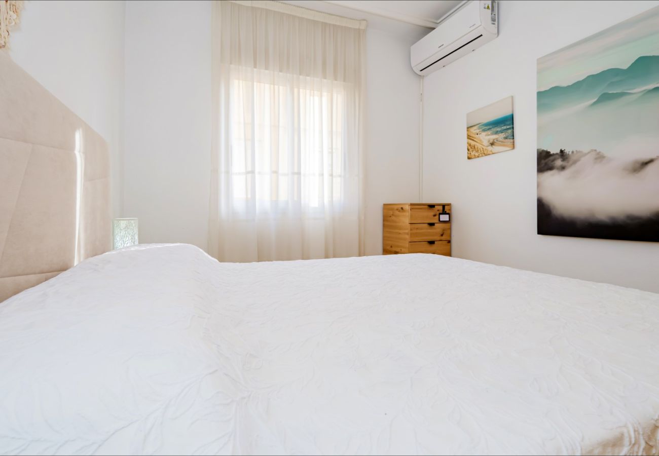 Apartment in Torrevieja - ID90