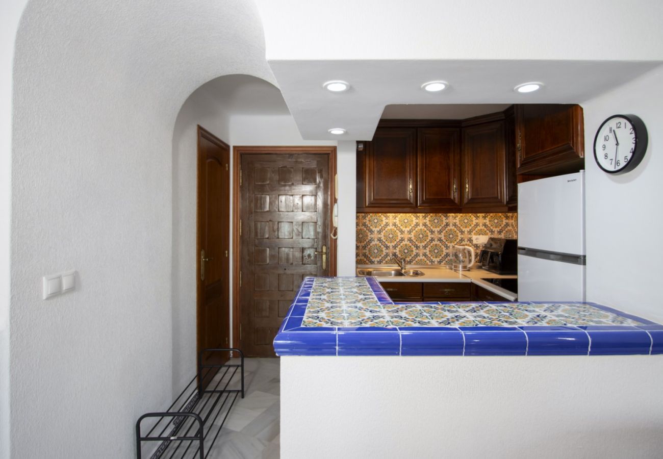 Apartment in Torrevieja - ID157