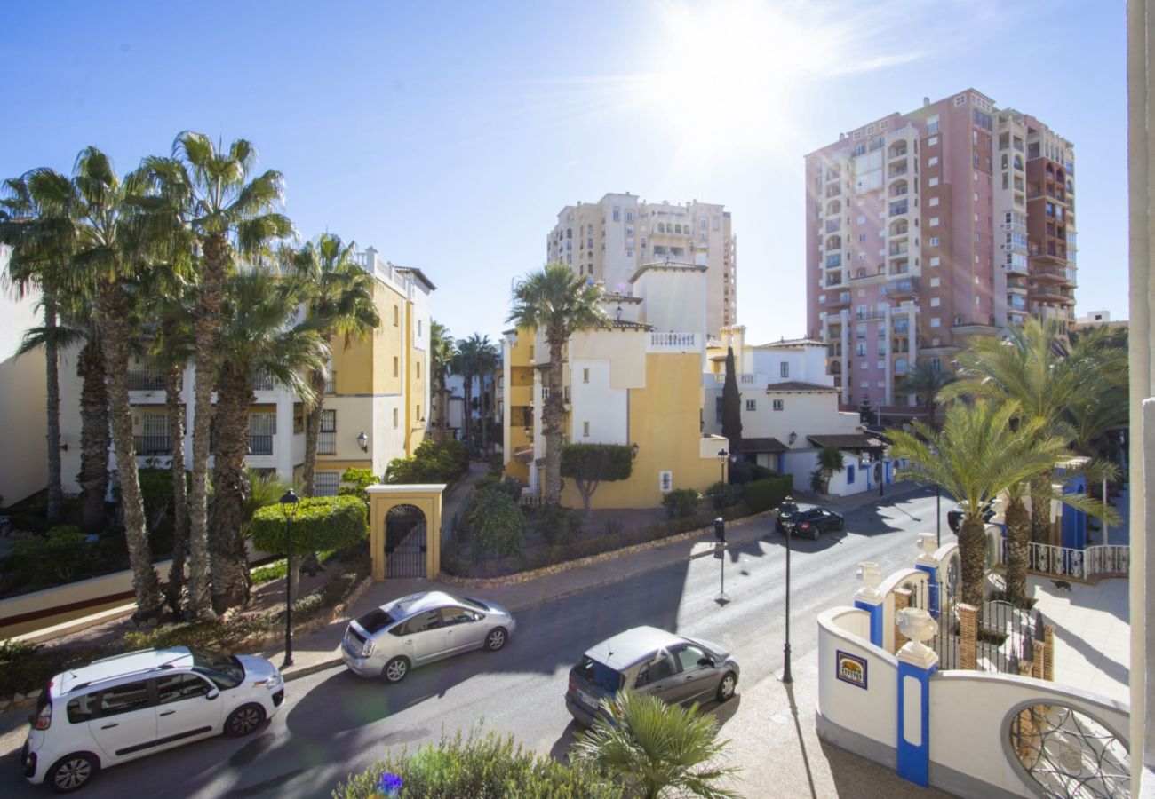 Apartment in Torrevieja - ID157