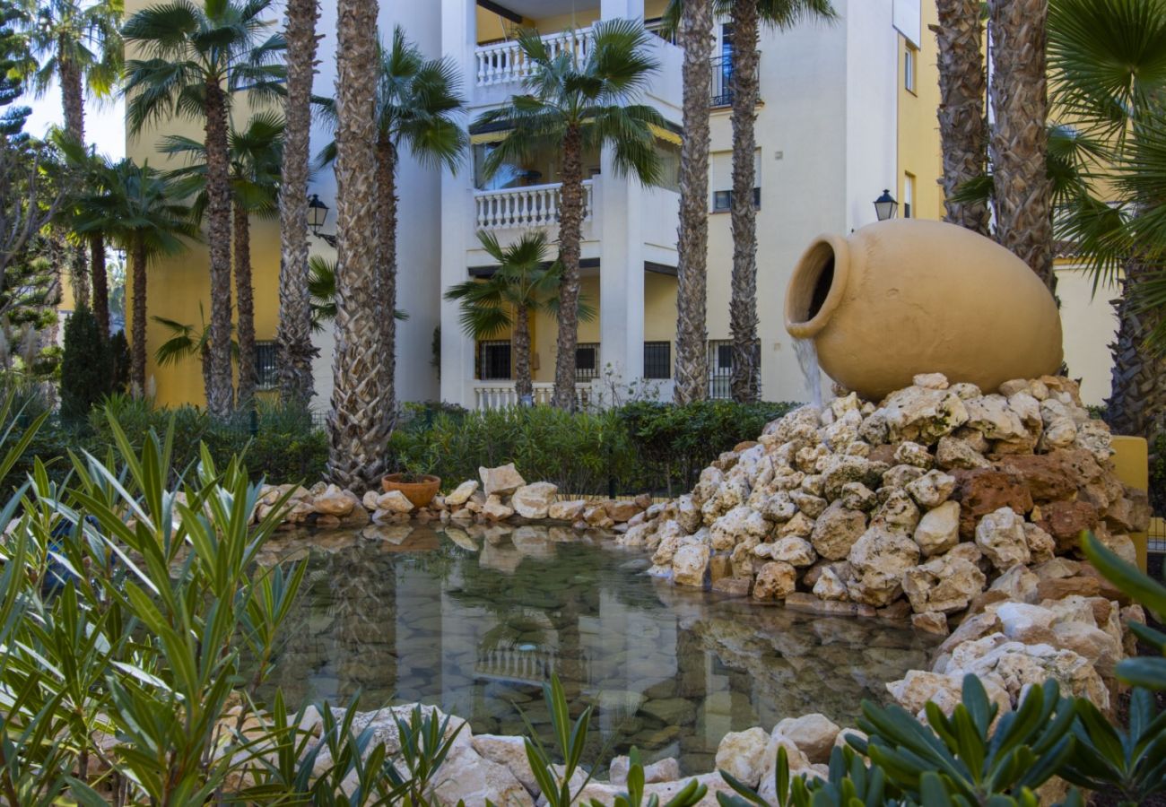 Apartment in Torrevieja - ID157