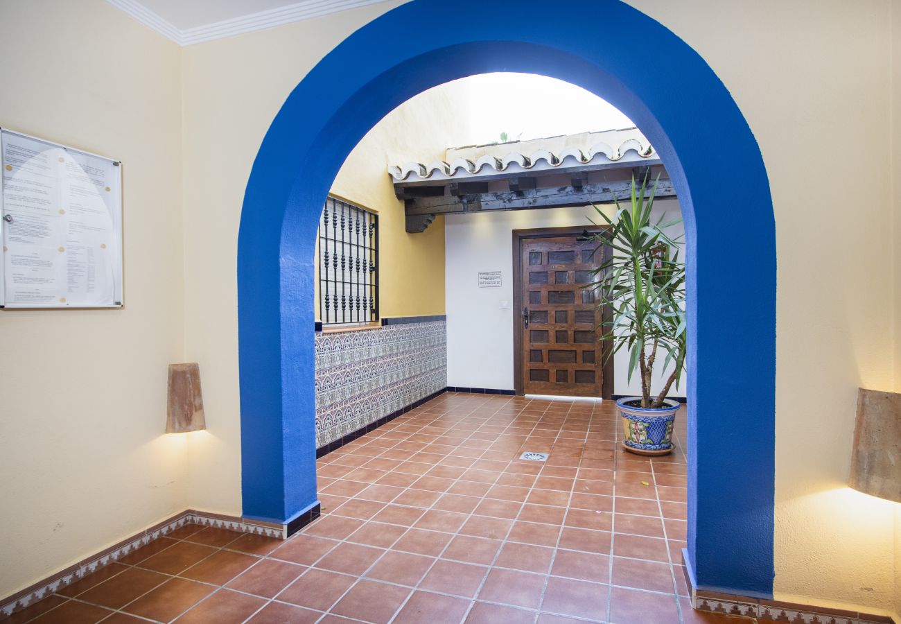 Apartment in Torrevieja - ID157