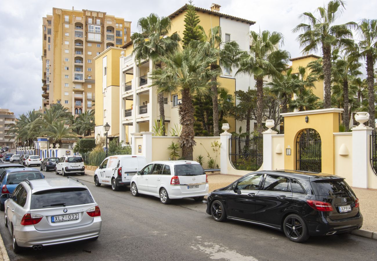 Apartment in Torrevieja - ID157