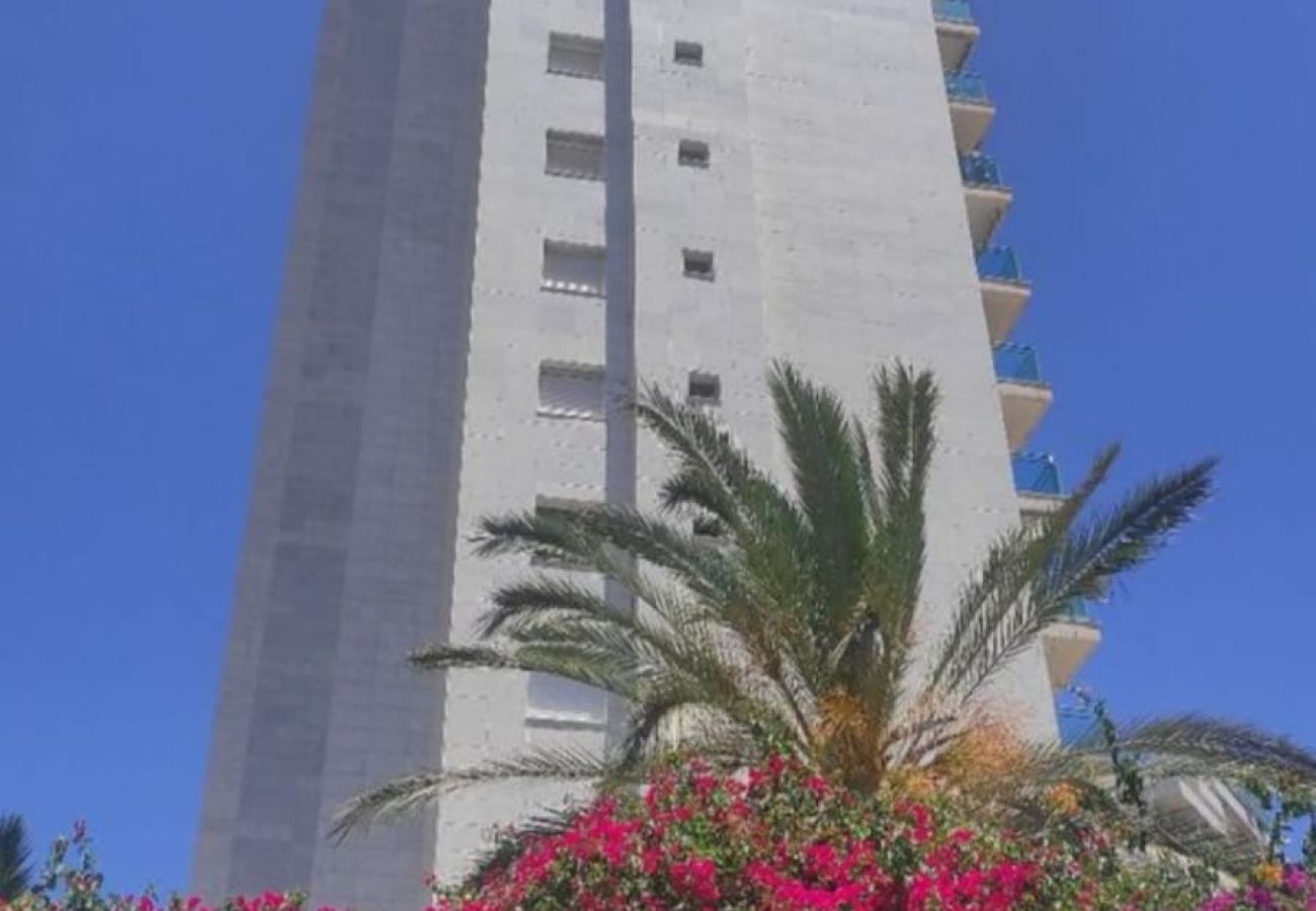 Apartment in Villajoyosa - CL Piso Atrium Rosa de 1 dorm