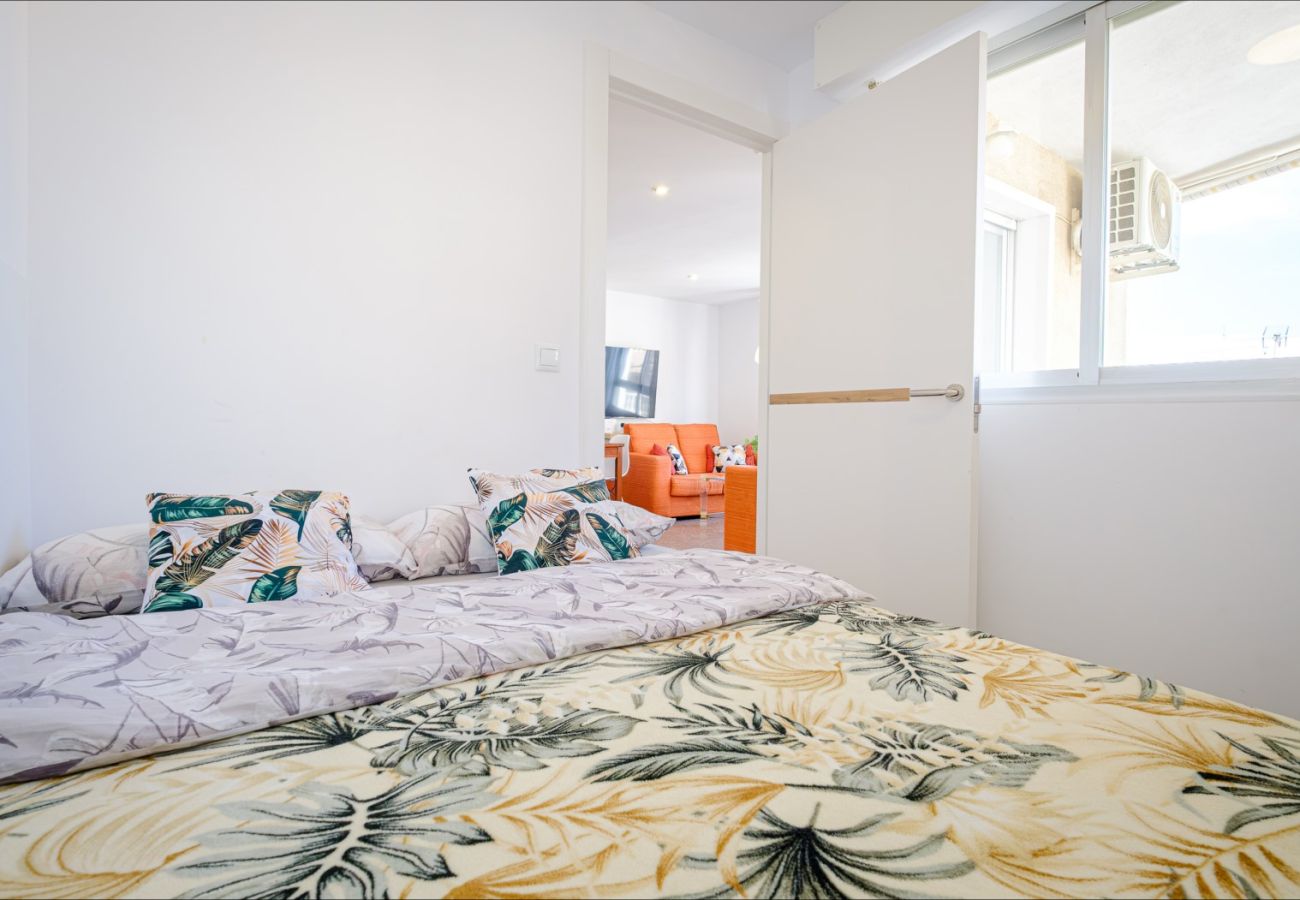 Apartment in Torrevieja - ID88