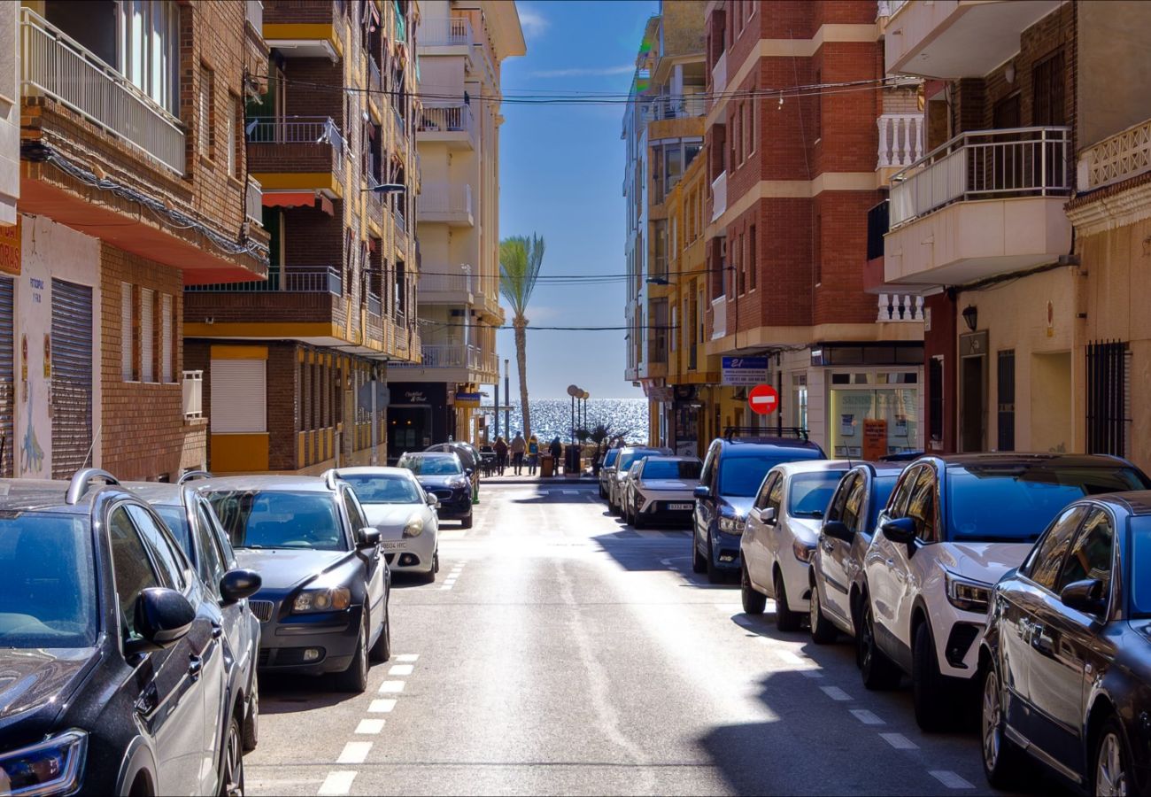 Apartment in Torrevieja - ID88