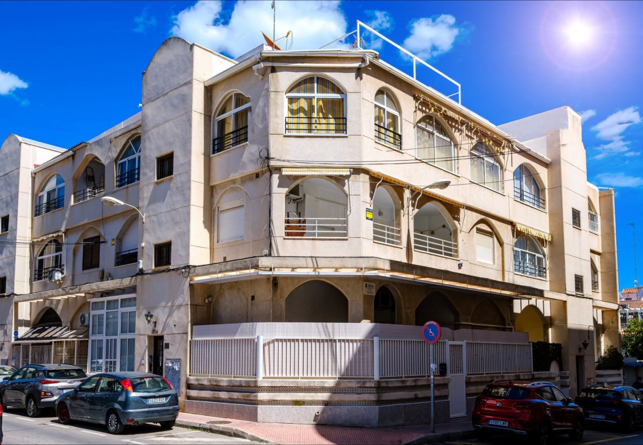 Apartment in Torrevieja - ID38