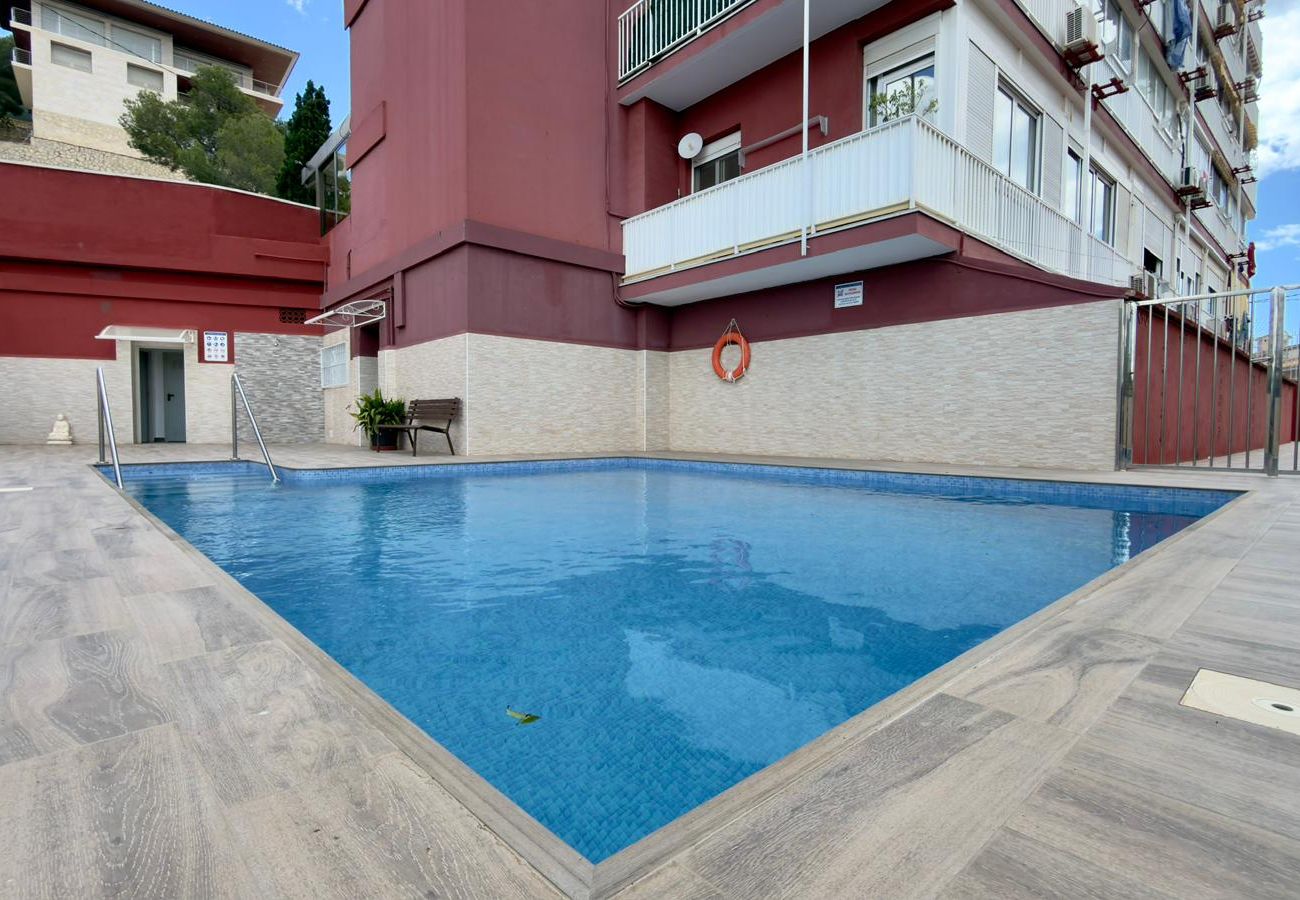 Apartment in Benidorm - BL Piso Sierra Dorada 1 dormitorio