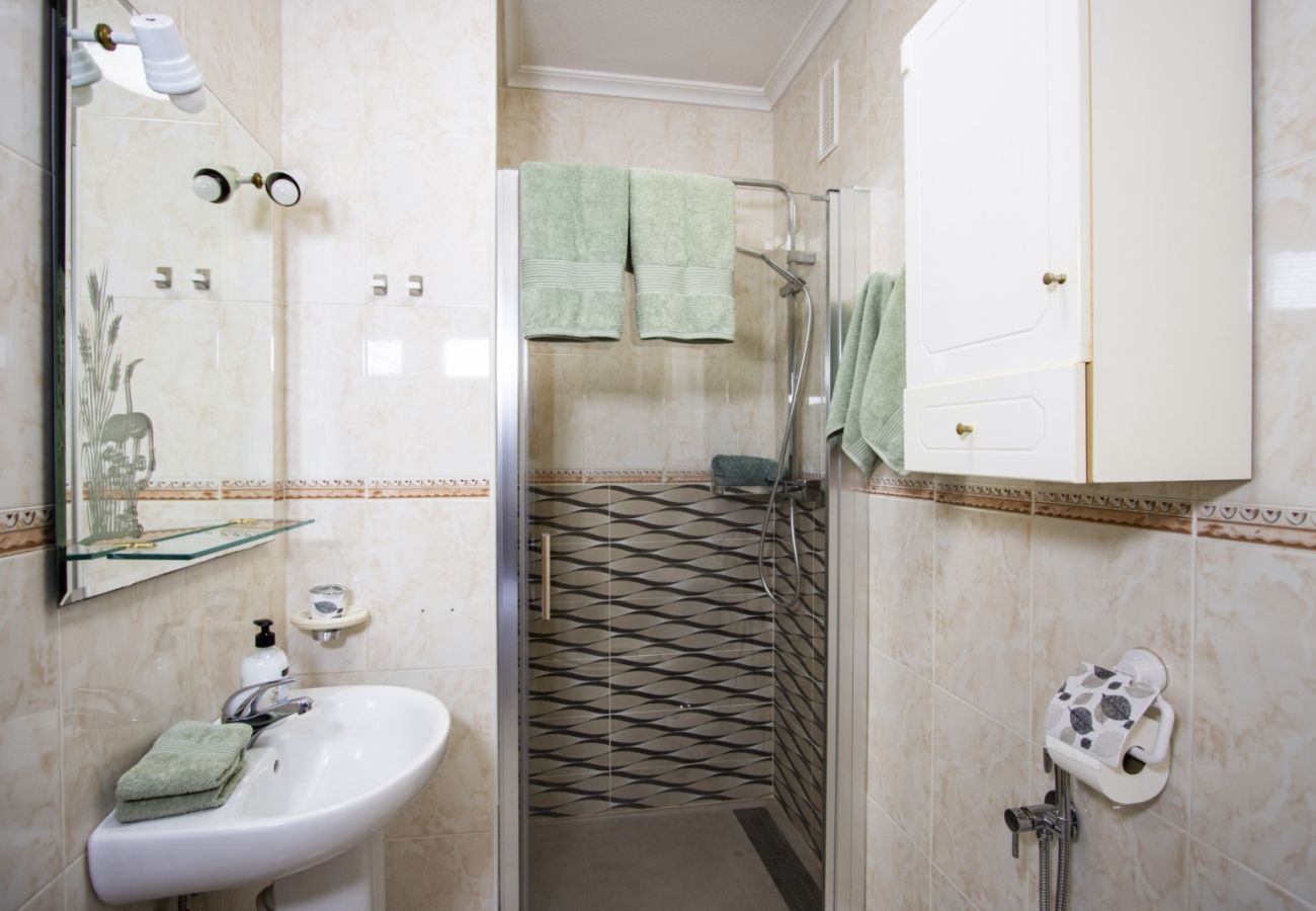 Apartment in Torrevieja - ID165