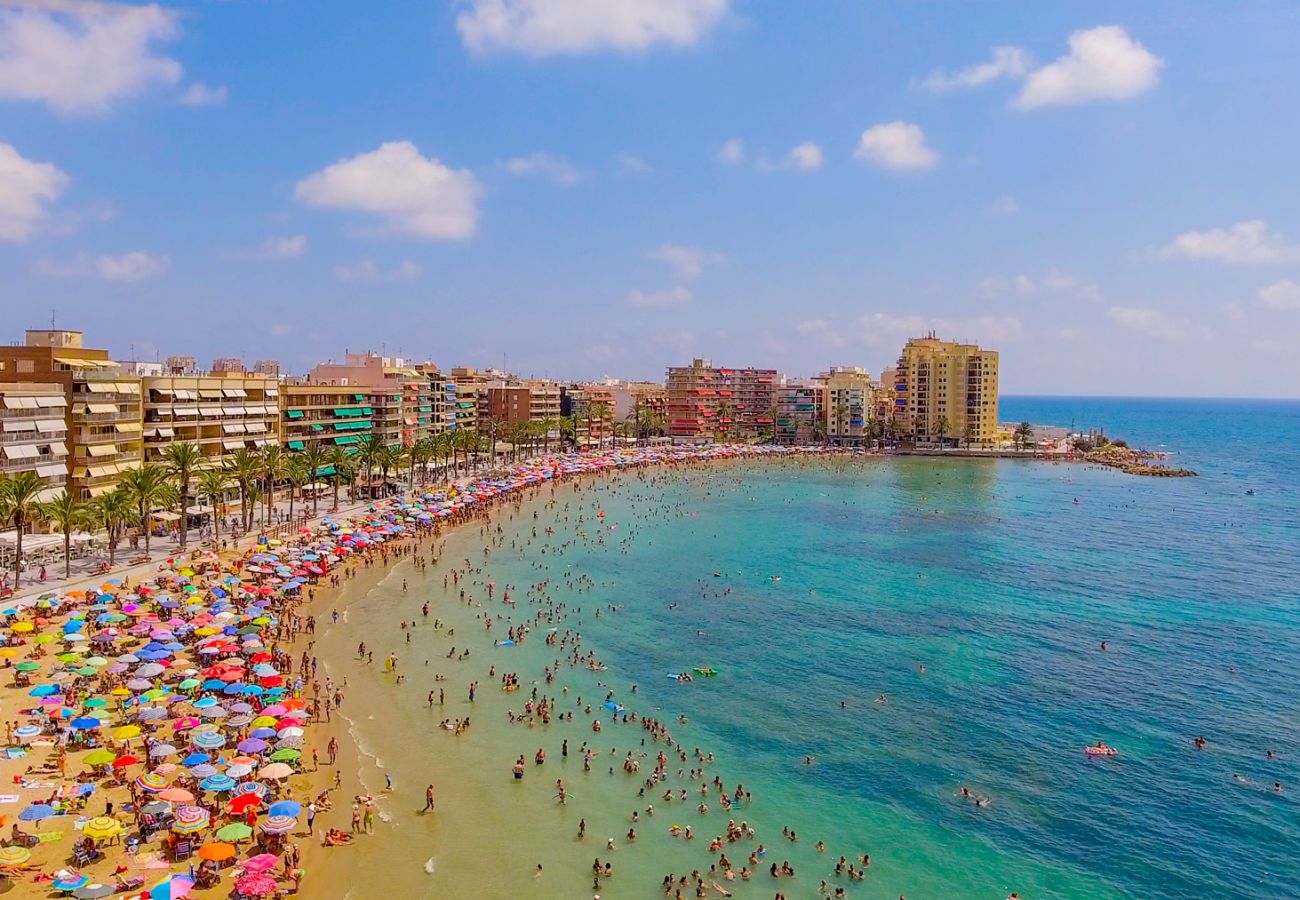 Apartment in Torrevieja - ID165