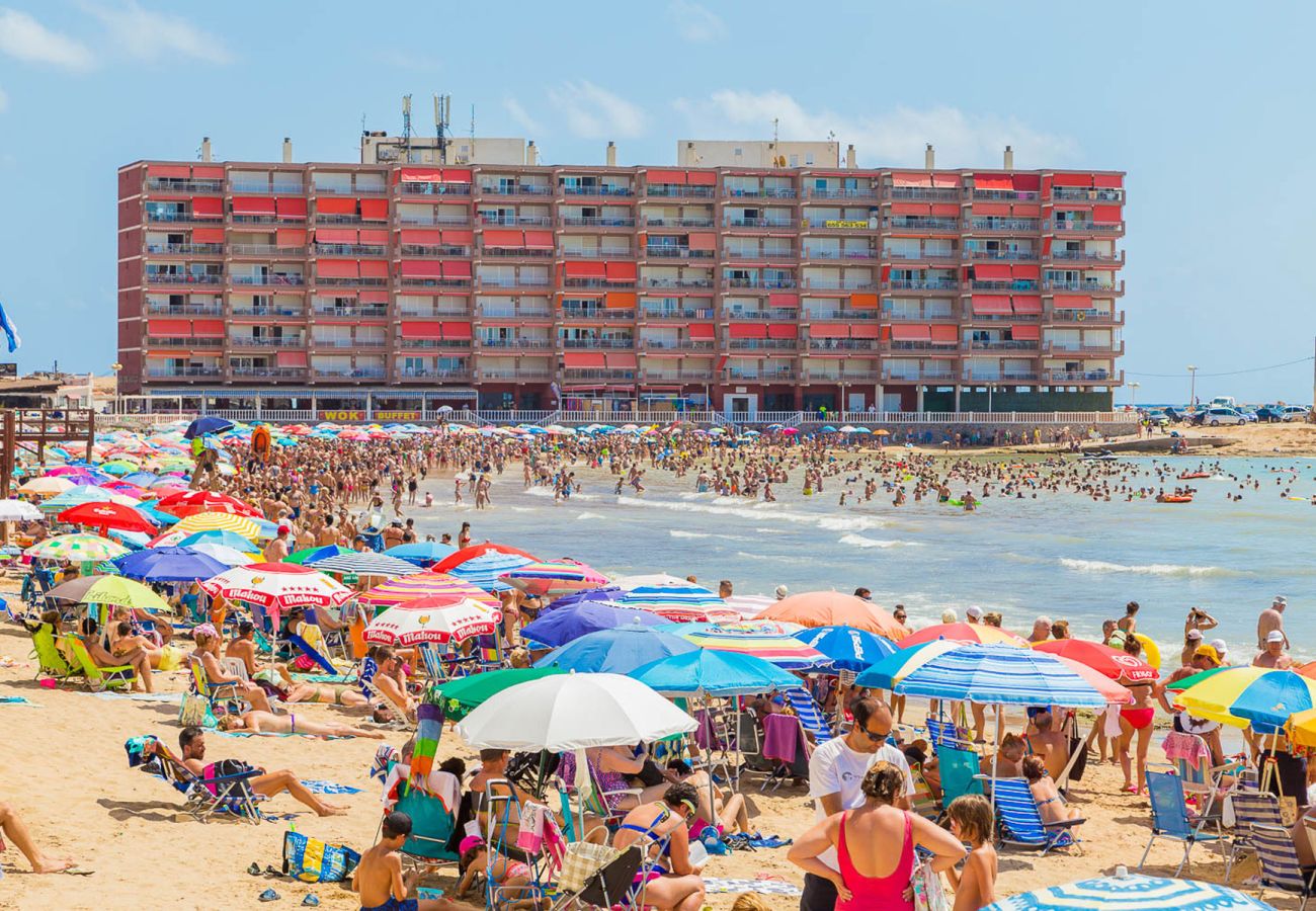 Apartment in Torrevieja - ID165