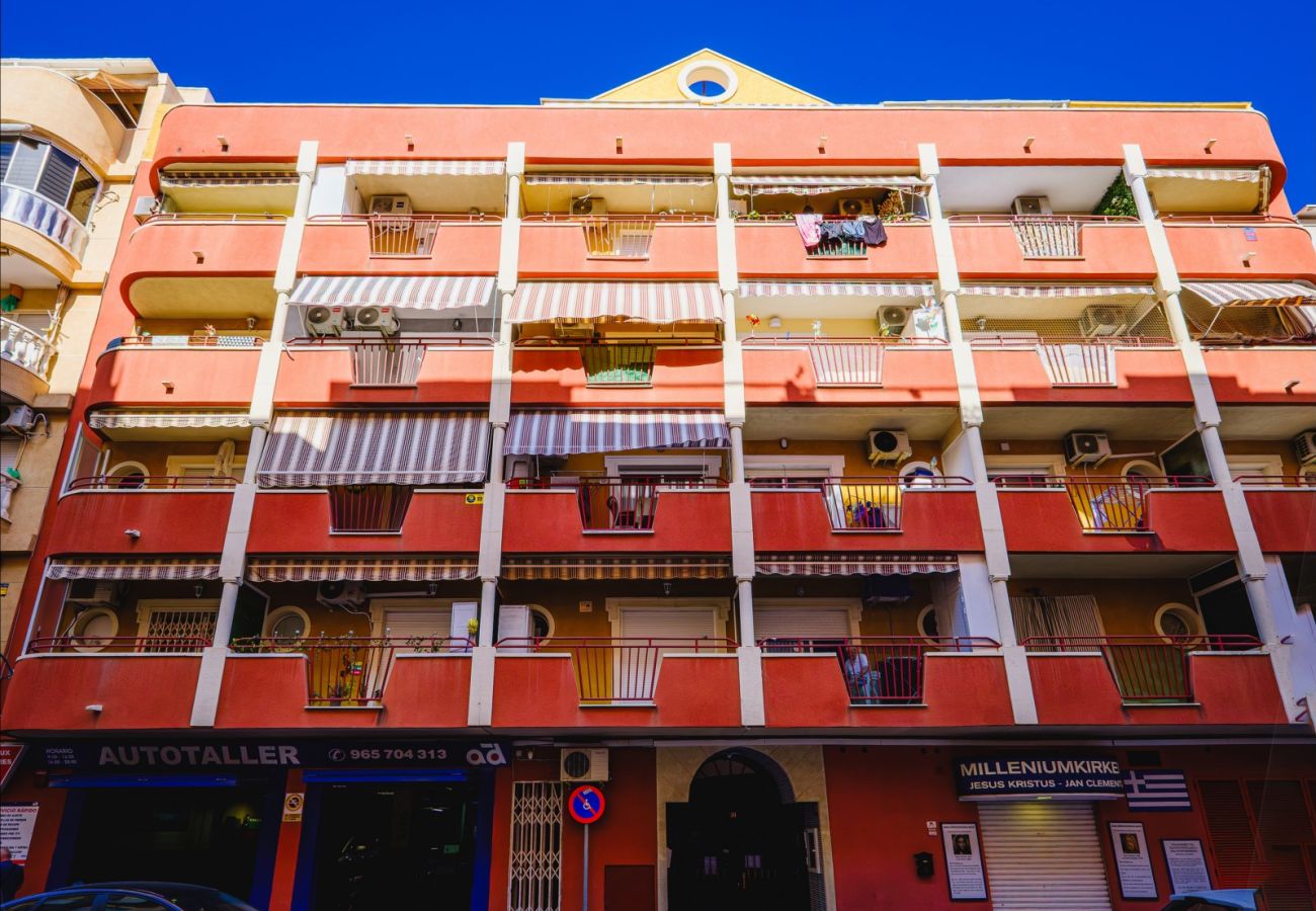 Apartment in Torrevieja - ID141