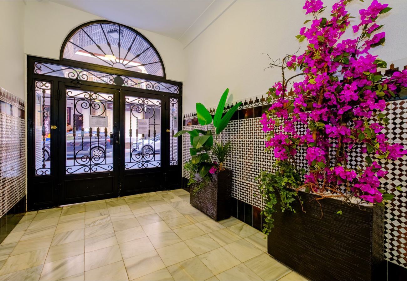 Apartment in Torrevieja - ID141