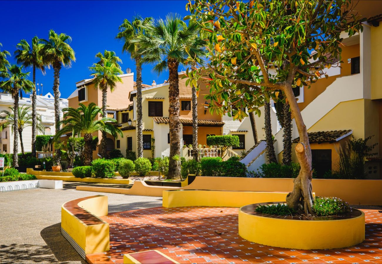Apartment in Torrevieja - ID67