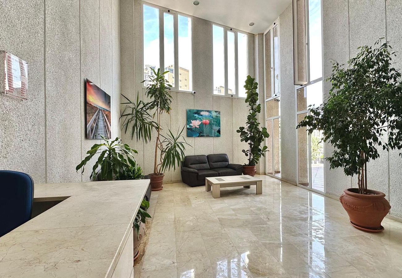 Apartment in Benidorm - BL PISO 2 HABITACION  TROPIC MAR