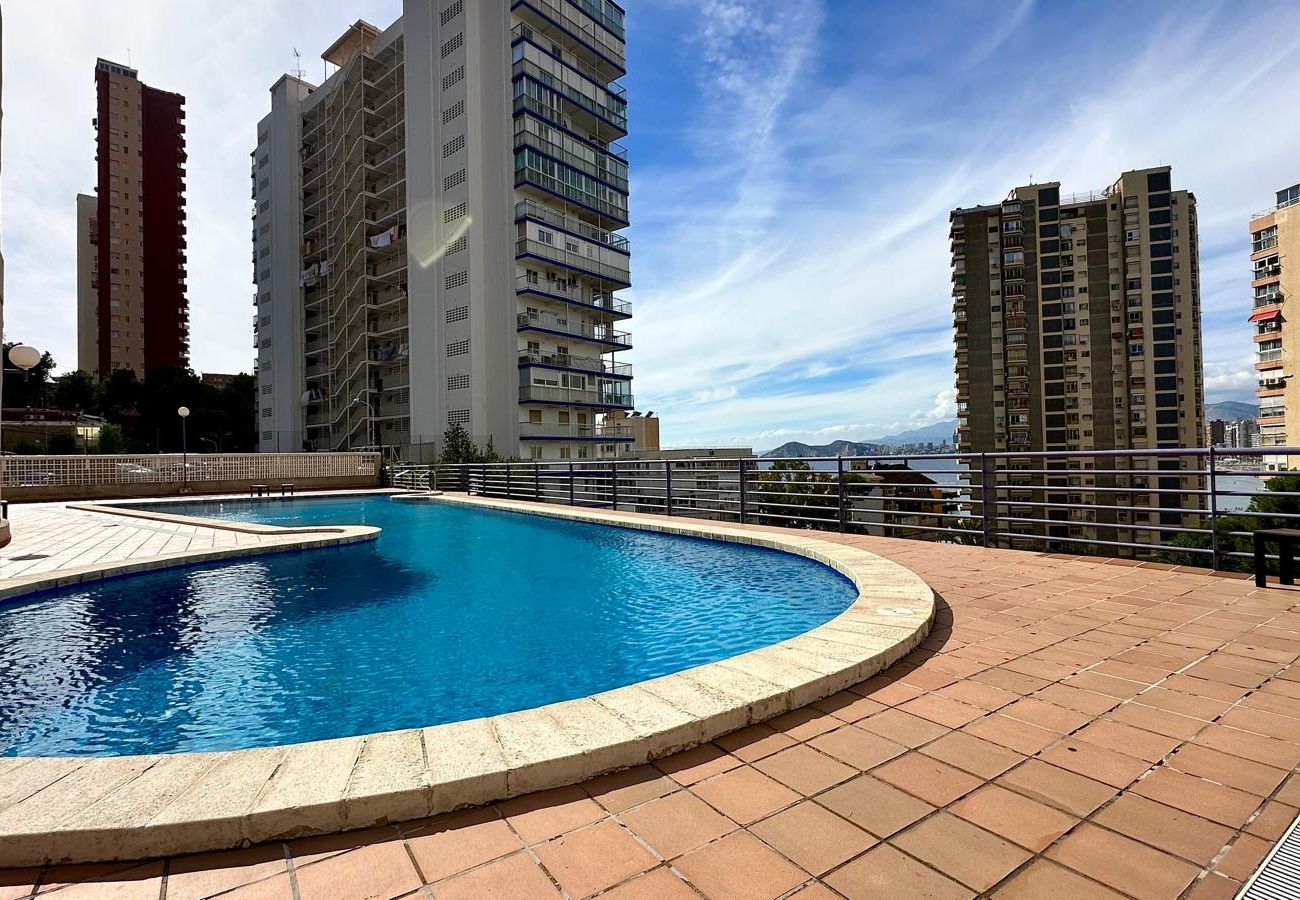 Apartment in Benidorm - BL PISO 2 HABITACION  TROPIC MAR