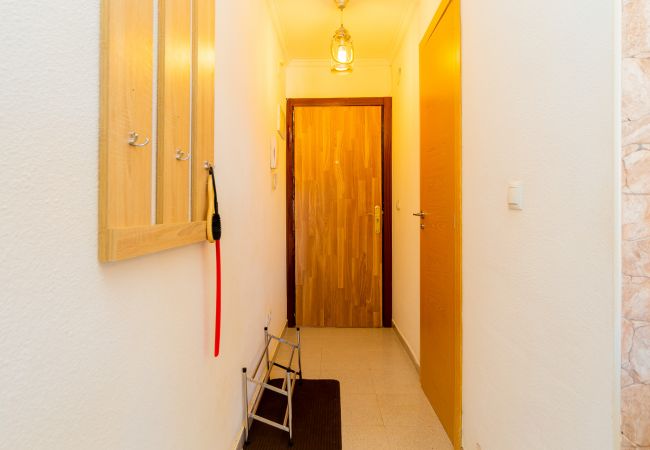 Квартира-студия на Торревьеха / Torrevieja - ID49