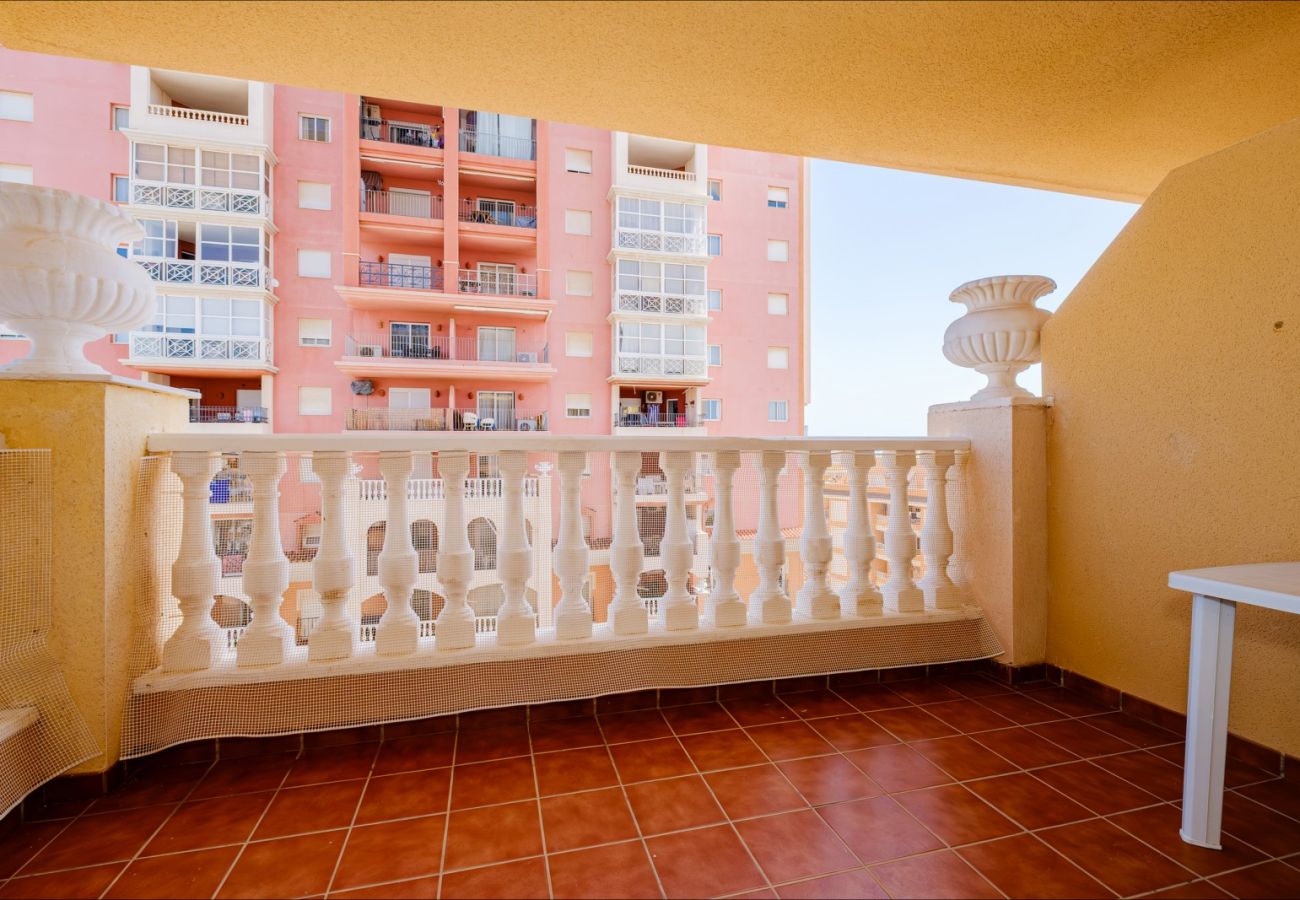 Апартаменты на Торревьеха / Torrevieja - ID47
