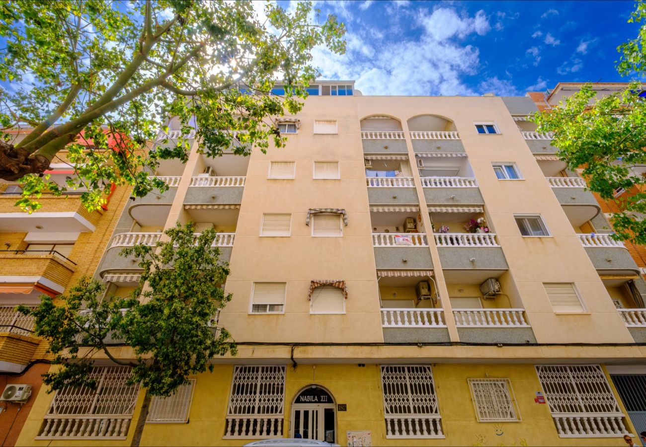 Апартаменты на Торревьеха / Torrevieja - ID103