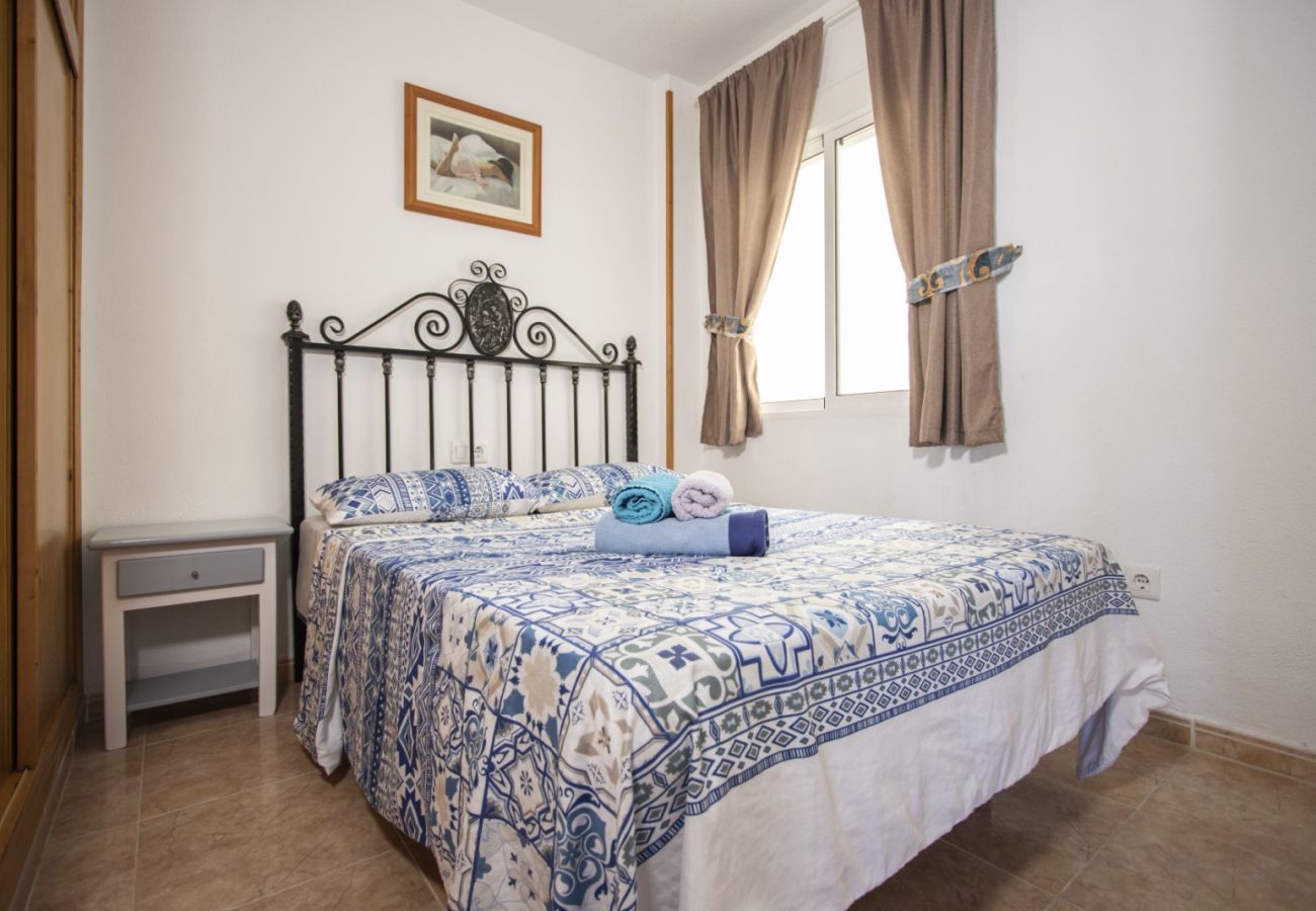 Апартаменты на Торревьеха / Torrevieja - ID116