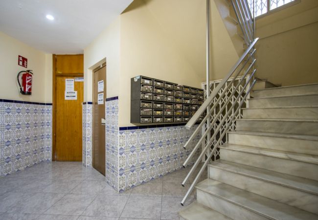 Апартаменты на Торревьеха / Torrevieja - ID24