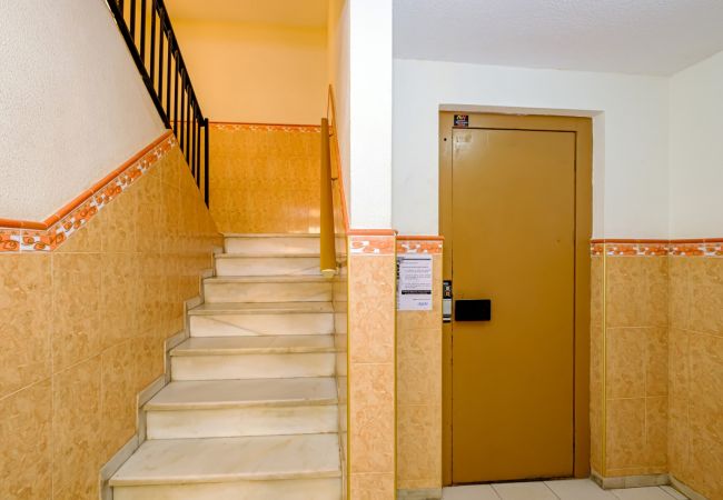 Квартира-студия на Торревьеха / Torrevieja - ID159