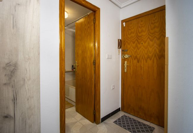 Апартаменты на Торревьеха / Torrevieja - ID31