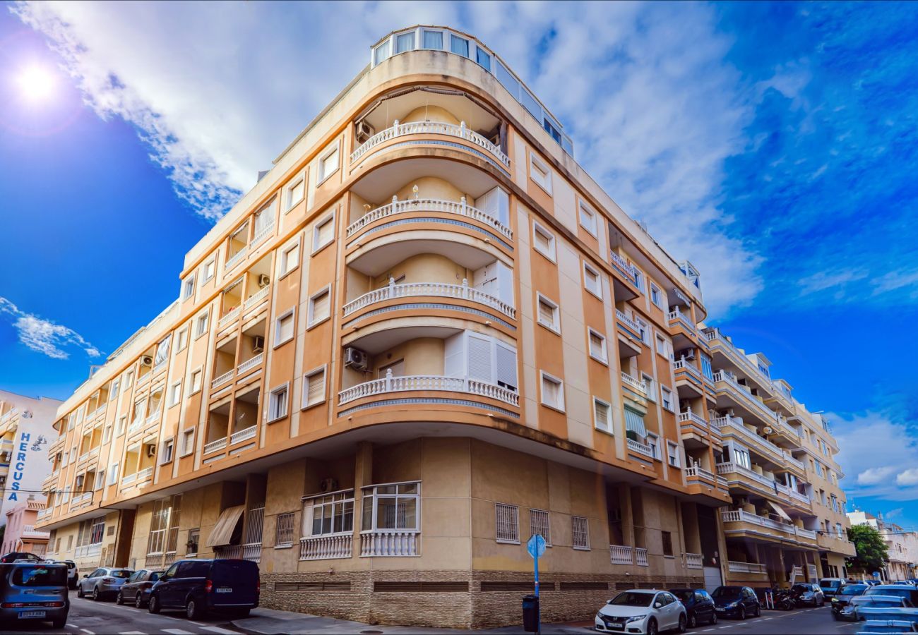 Апартаменты на Торревьеха / Torrevieja - ID90