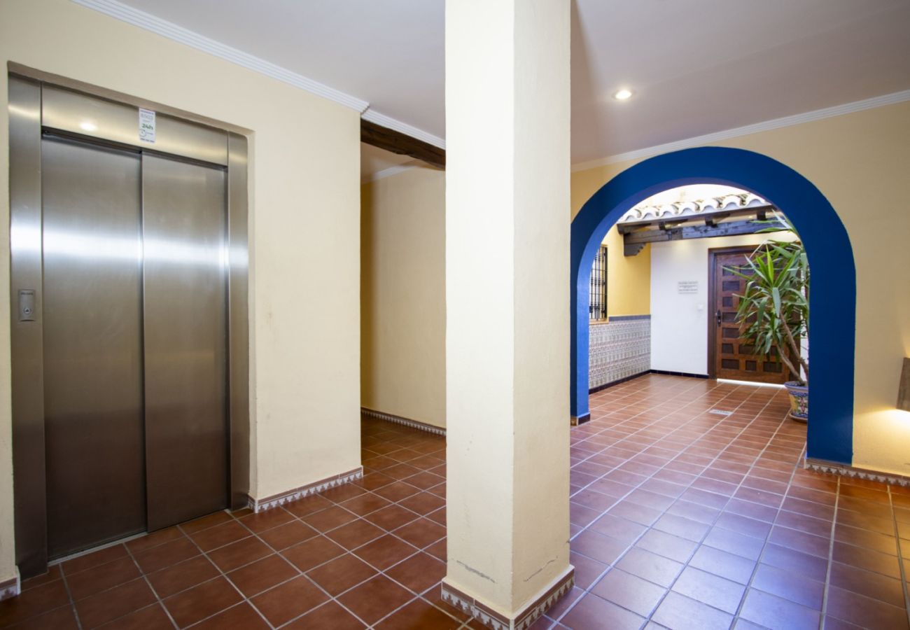 Апартаменты на Торревьеха / Torrevieja - ID157