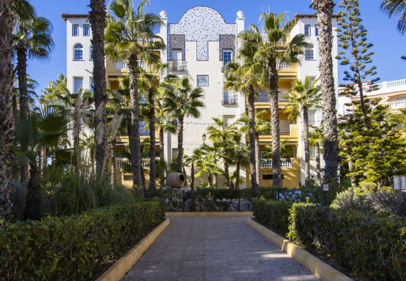 Апартаменты на Торревьеха / Torrevieja - ID157