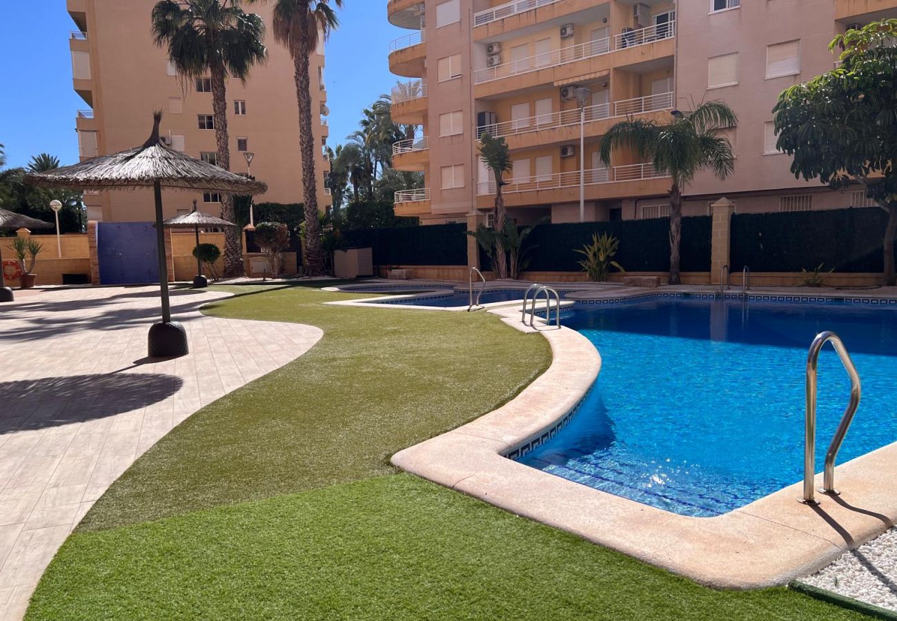 Апартаменты на Торревьеха / Torrevieja - ID17