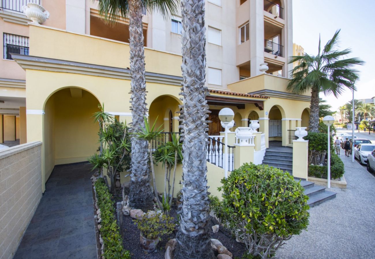 Апартаменты на Торревьеха / Torrevieja - ID17
