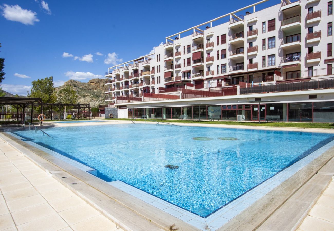 Апартаменты на Villanueva del Río Segura - ID300