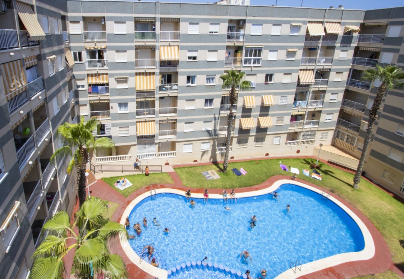 Апартаменты на Торревьеха / Torrevieja - ID165
