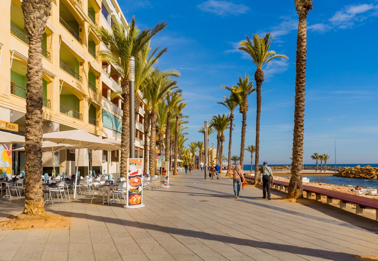 Апартаменты на Торревьеха / Torrevieja - ID165