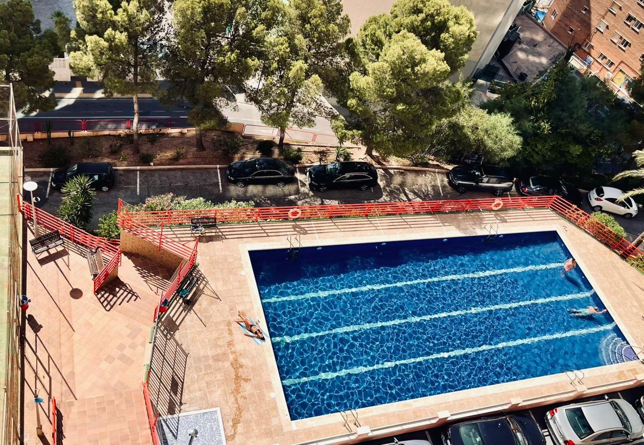 Апартаменты на Бенидорм / Benidorm - BSL Pso 1 Dormitorio Rincon