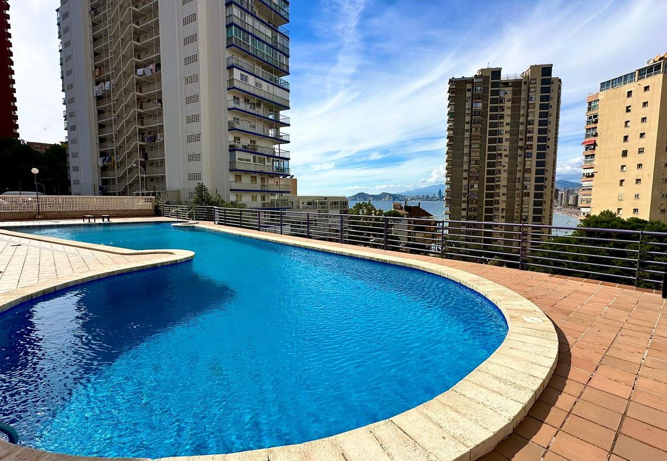 Апартаменты на Бенидорм / Benidorm - BL PISO 2 HABITACION  TROPIC MAR