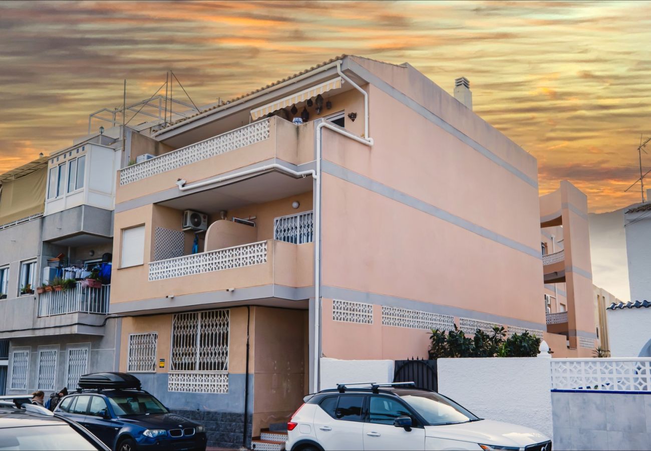 Апартаменты на Торревьеха / Torrevieja - ID138