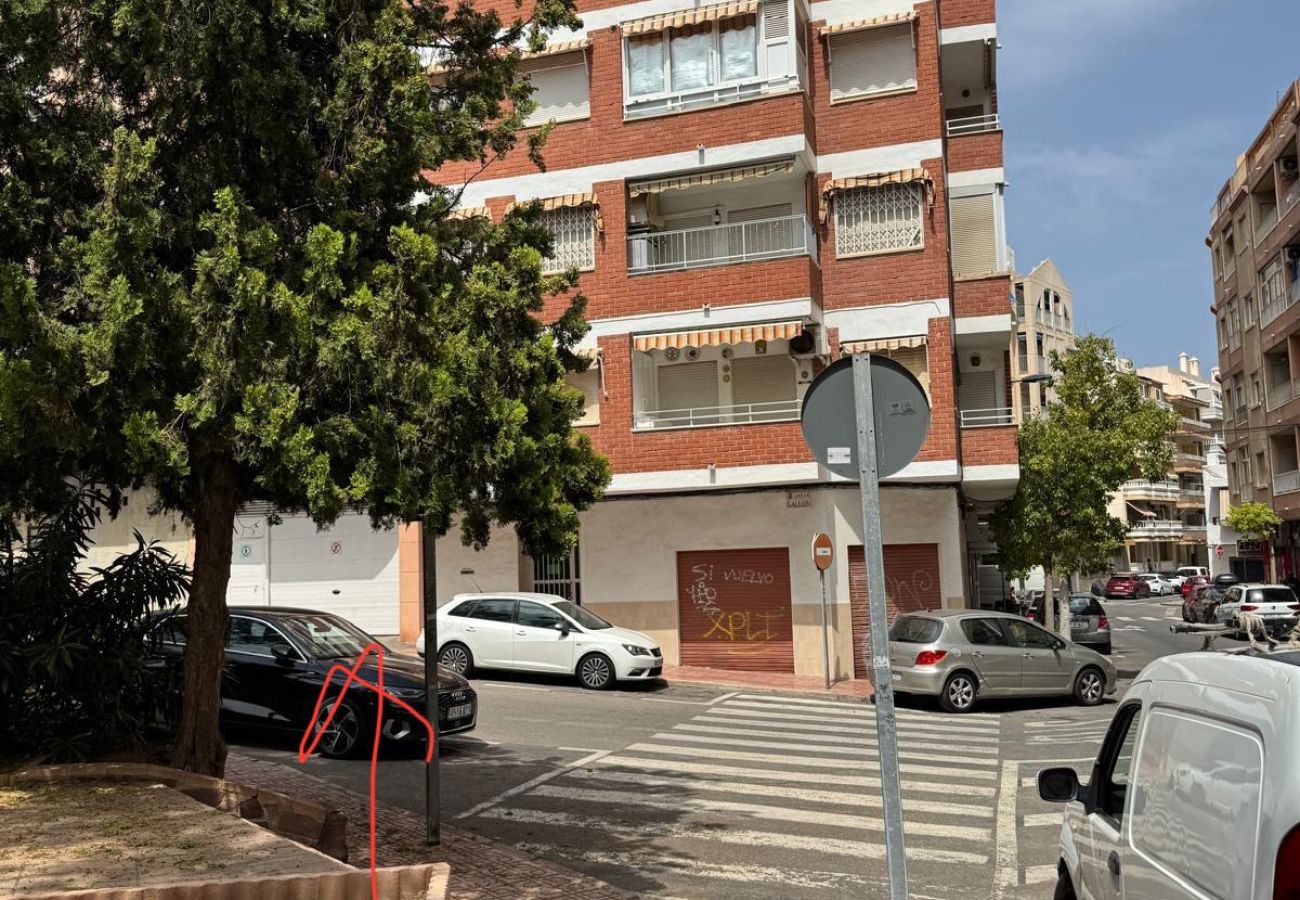 Апартаменты на Торревьеха / Torrevieja - ID42