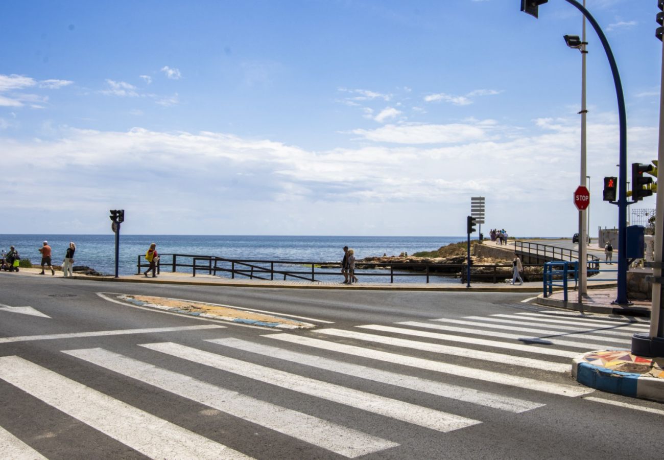 Апартаменты на Торревьеха / Torrevieja - ID102