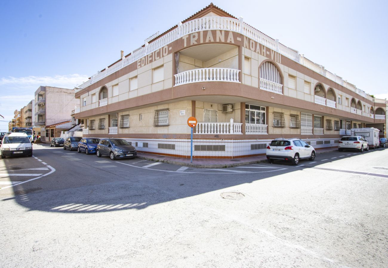 Апартаменты на Торревьеха / Torrevieja - ID197