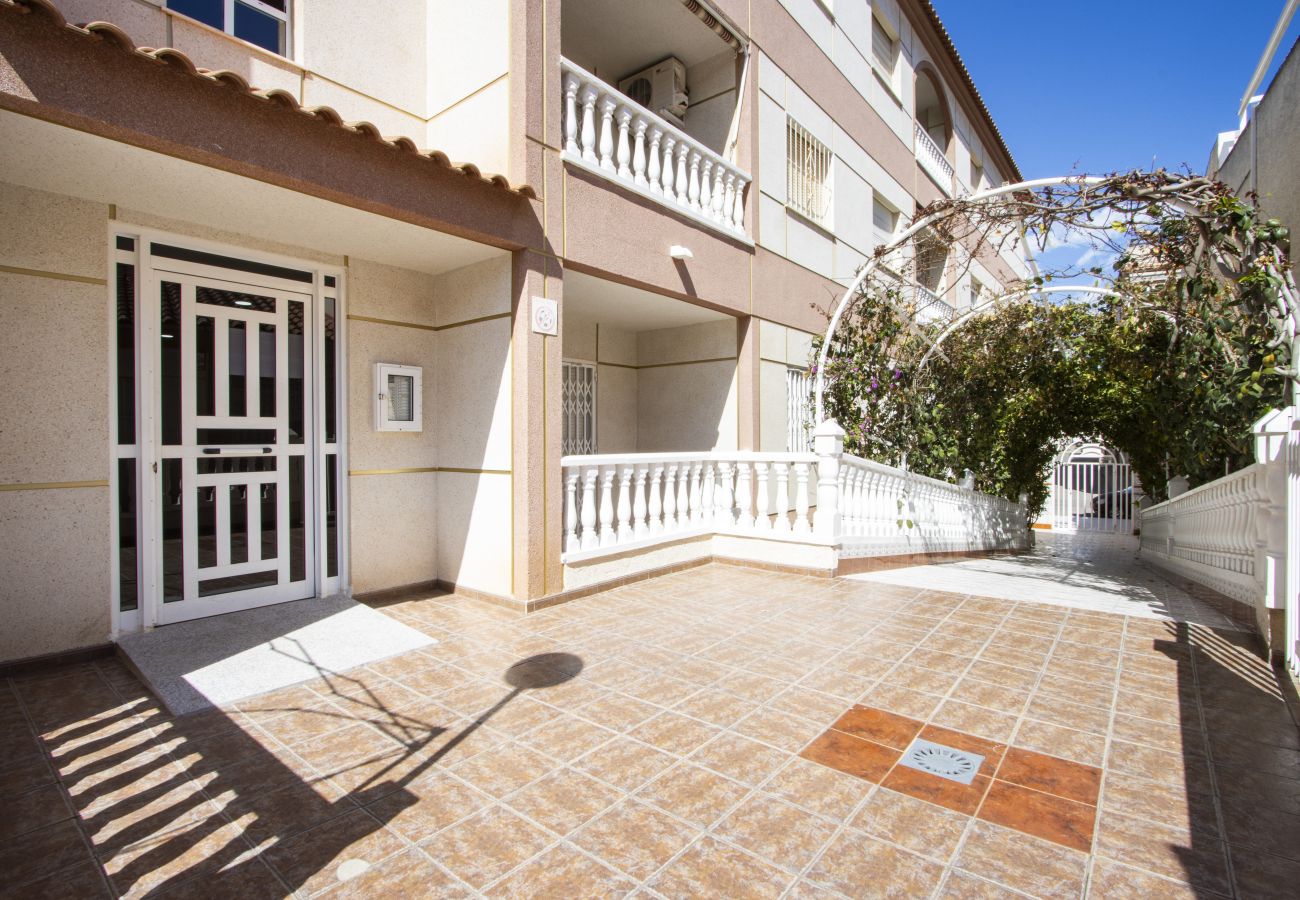 Апартаменты на Торревьеха / Torrevieja - ID197