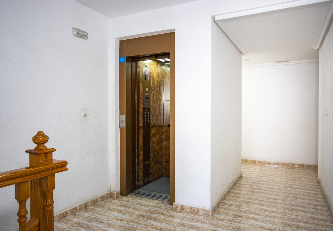 Апартаменты на Торревьеха / Torrevieja - ID197