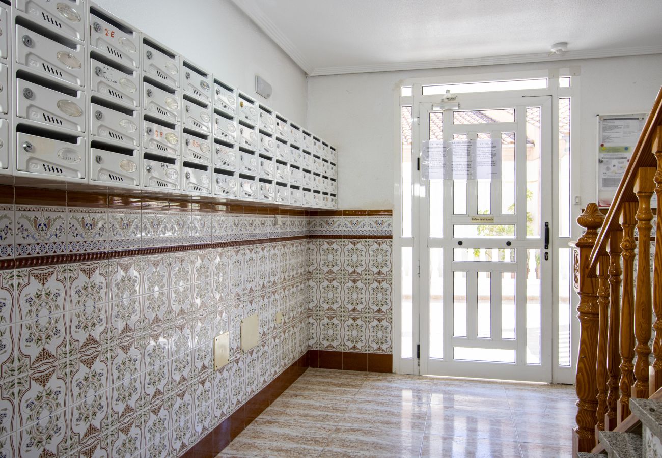Апартаменты на Торревьеха / Torrevieja - ID197