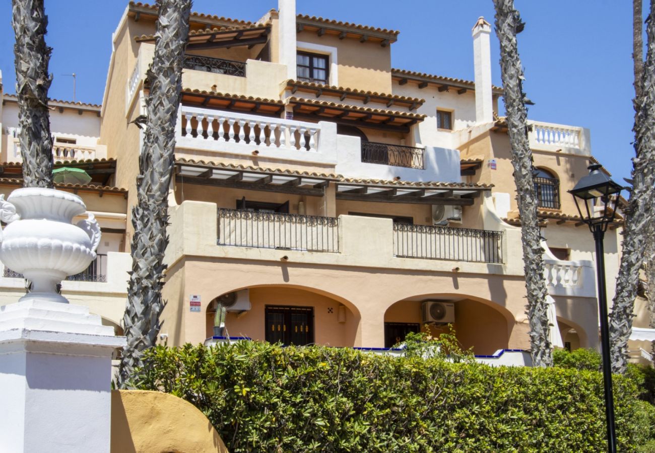 Апартаменты на Торревьеха / Torrevieja - ID117