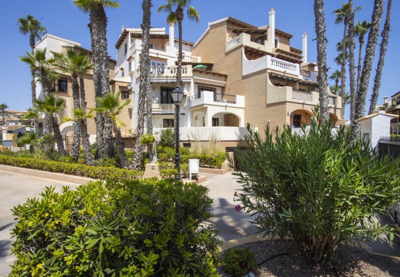 Апартаменты на Торревьеха / Torrevieja - ID117