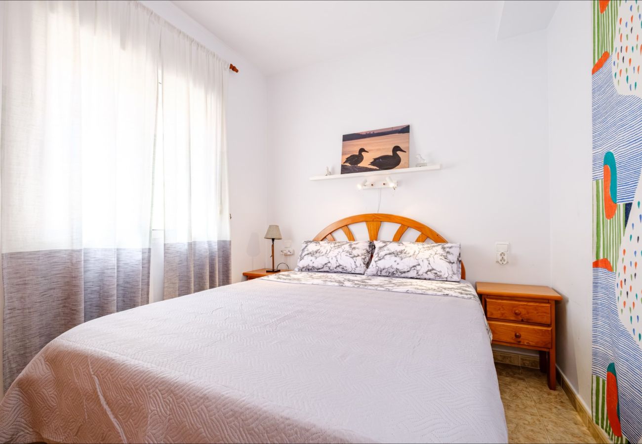 Апартаменты на Торревьеха / Torrevieja - ID5