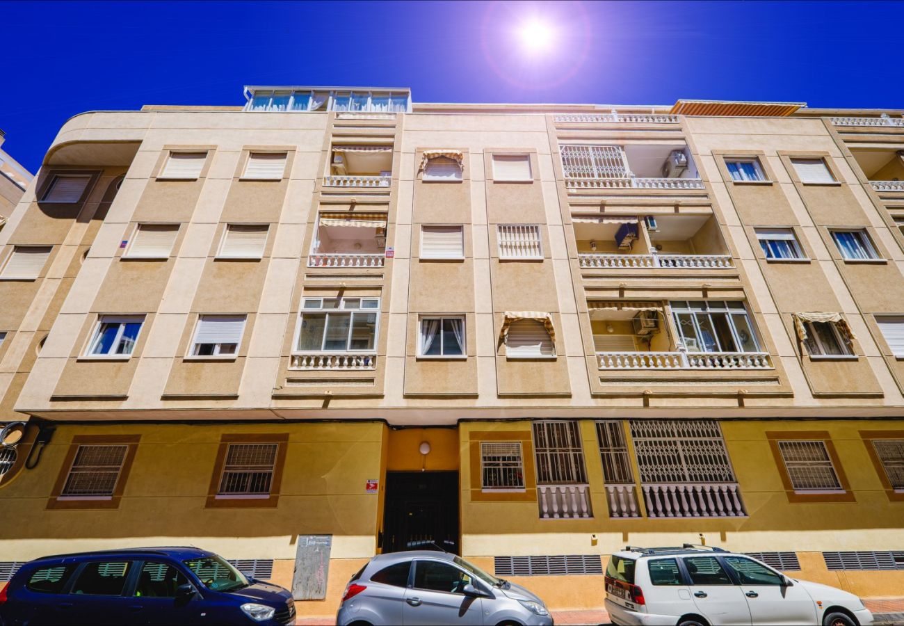Апартаменты на Торревьеха / Torrevieja - ID5