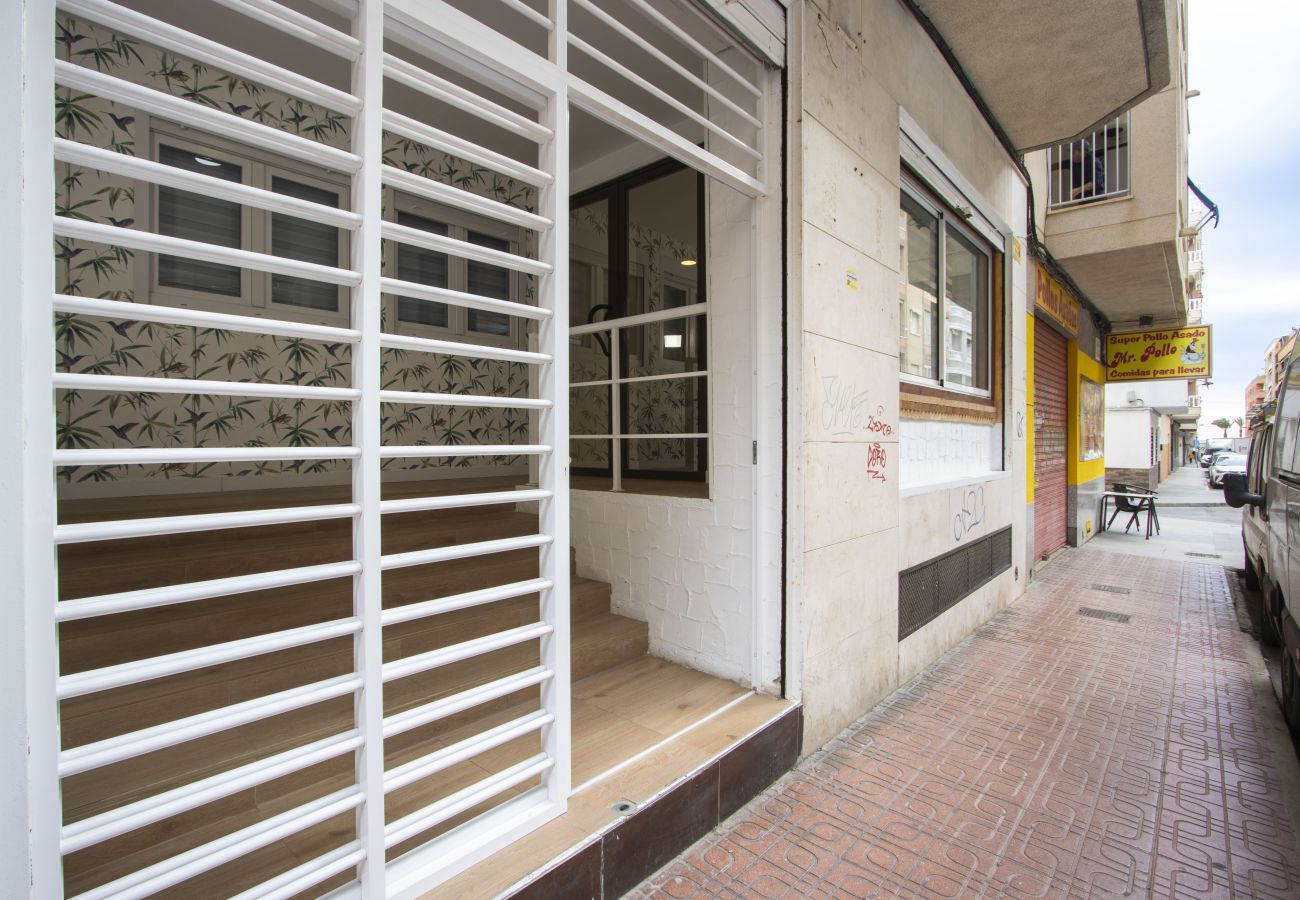 Апартаменты на Торревьеха / Torrevieja - ID4